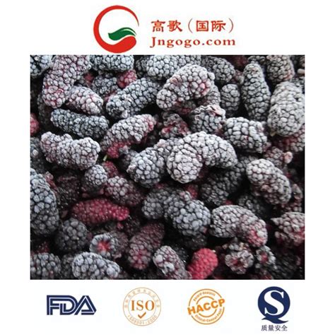 wholesale iqf frozen mulberry